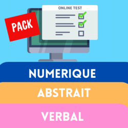 Super pack 3 tests de raisonnement FR (tests en ligne)